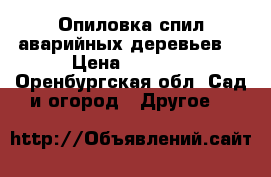 Опиловка,спил аварийных деревьев. › Цена ­ 1 000 - Оренбургская обл. Сад и огород » Другое   